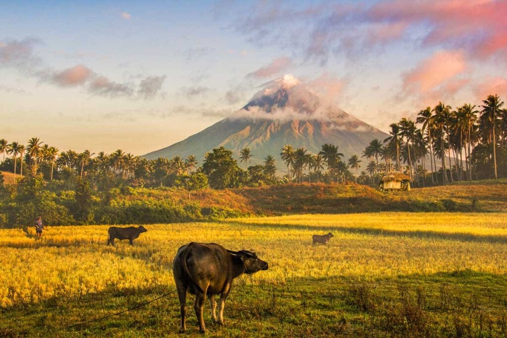 Philippines-paysage